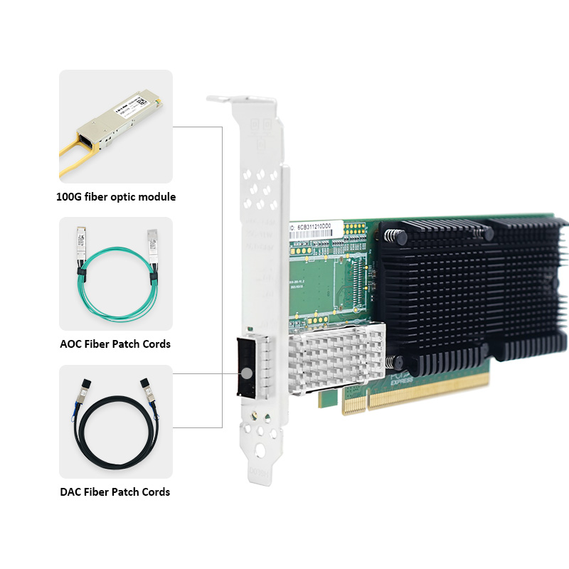 LR-LINK 1019PF-QSFP28 PCIe x16 - 100Gbe Qsfp28 Network Card ulasan dan harga